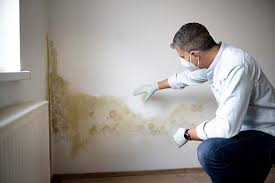 Best Mold Odor Removal Services  in Asbury Lake, FL